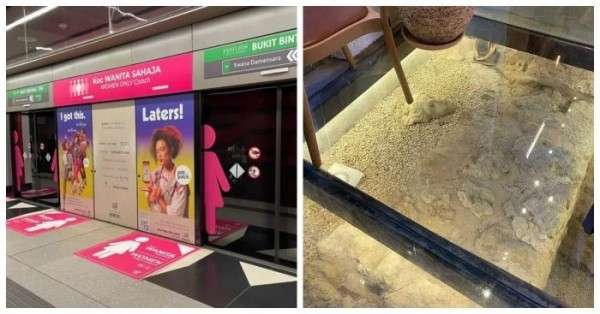 Интересные фактыиз разных стран мира Интересные фактыиз разных стран мира