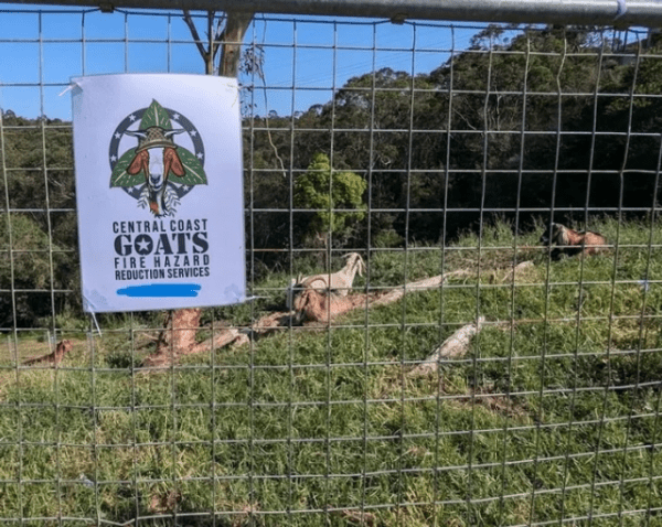 Уникальные мелочи жизни из разных уголков мира Уникальные мелочи жизни из разных уголков мира