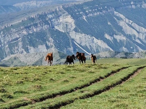 Гуниб, Дагестан. Что посмотреть в окрестностях самому Гуниб, Дагестан. Что посмотреть в окрестностях самому