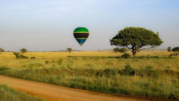 Air Tanzania возобновит рейсы в Россию с 7 сентября Air Tanzania возобновит рейсы в Россию с 7 сентября