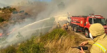 Туроператоры: Лесные пожары в провинции Анталья туристам не угрожают Туроператоры: Лесные пожары в провинции Анталья туристам не угрожают