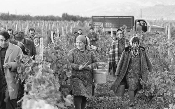 Повседневная жизнь в советской Грузии 1976 года в фотографиях шведского фотографа Повседневная жизнь в советской Грузии 1976 года в фотографиях шведского фотографа