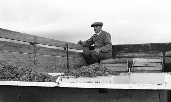 Повседневная жизнь в советской Грузии 1976 года в фотографиях шведского фотографа Повседневная жизнь в советской Грузии 1976 года в фотографиях шведского фотографа